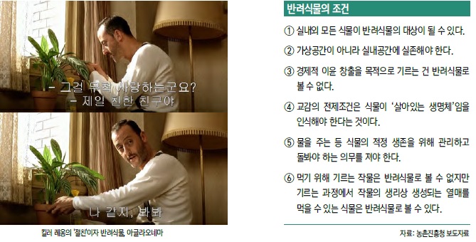 나도 ‘레옹 화분’ 있어요! 현대인과 반려식물