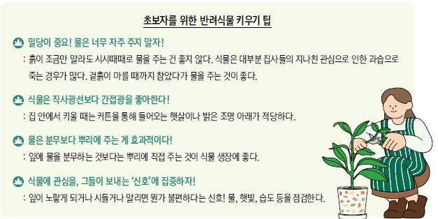 나도 ‘레옹 화분’ 있어요! 현대인과 반려식물
