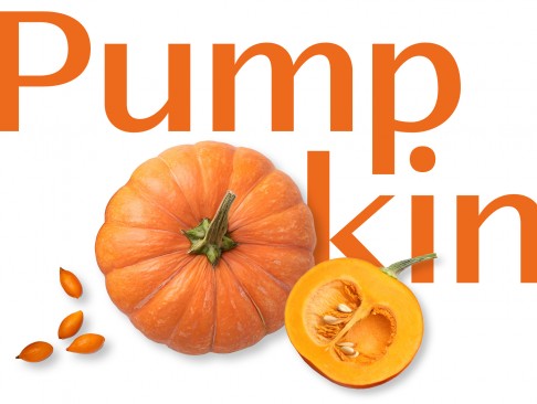 계절 음식을 찾아서