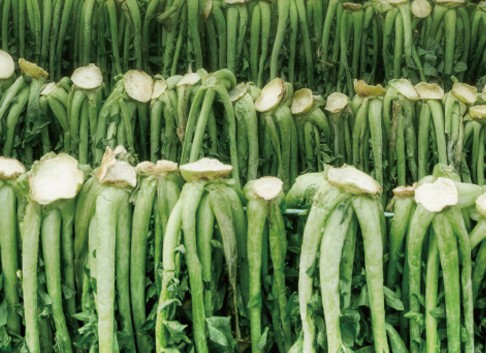 계절 음식을 찾아서